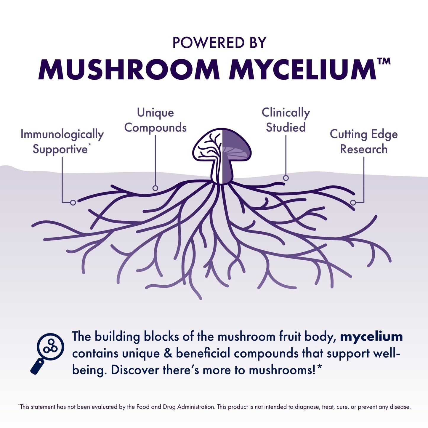 Host Defense Mushrooms Lion's Mane - Supplement Capsules for Brain Health Support - Mushroom Support for Focus & Memory Function - PrimeBioHealth - canada supplements