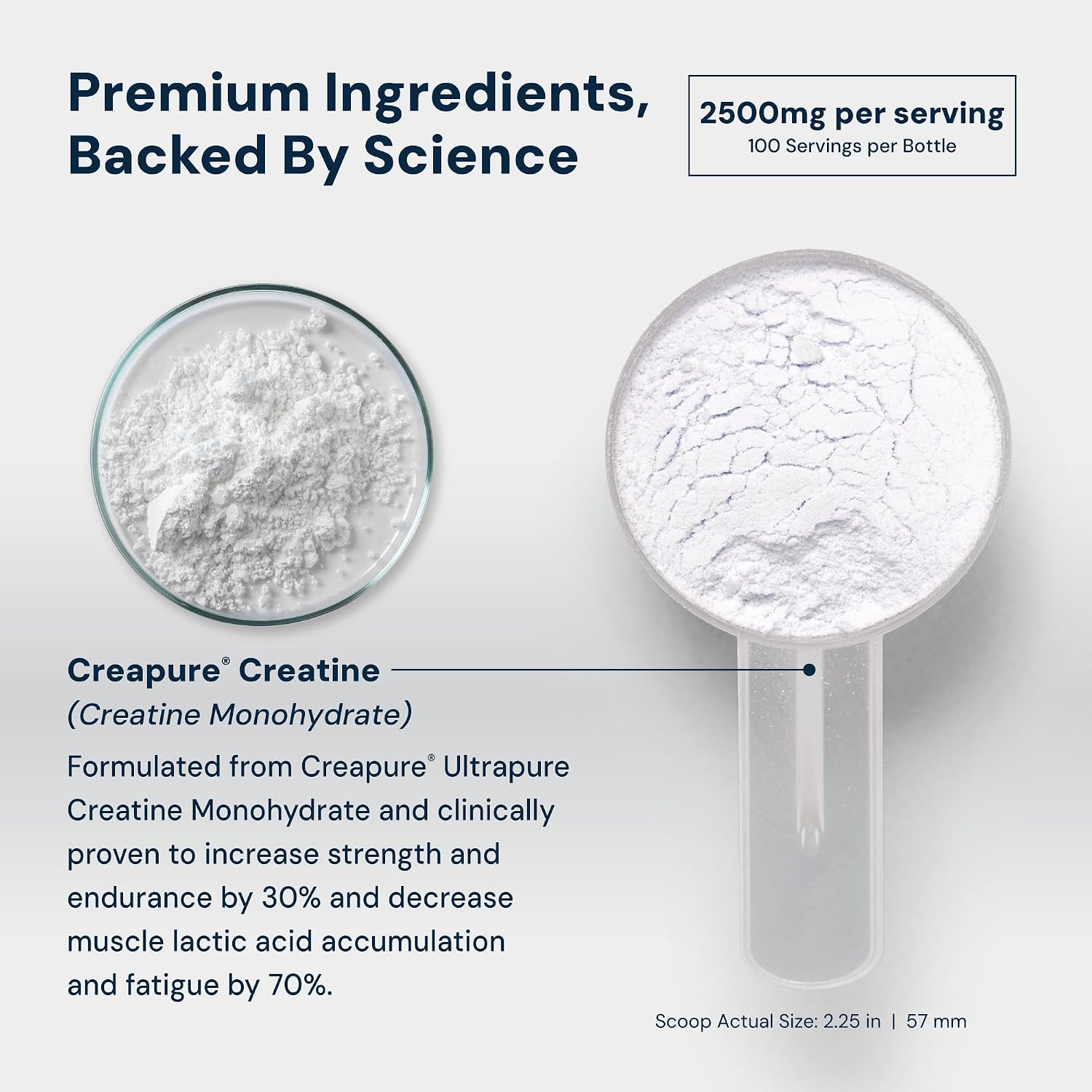 HPN C2 Creatine Monohydrate for Performance, Recovery, Strength, Working Out, Vegan, Non-GMO, Dairy and Soy Free, Independently Tested, Ultrapure Premium Creapure (100 Servings) - PrimeBioHealth - canada supplements