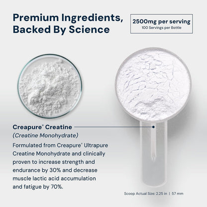 HPN C2 Creatine Monohydrate for Performance, Recovery, Strength, Working Out, Vegan, Non-GMO, Dairy and Soy Free, Independently Tested, Ultrapure Premium Creapure (100 Servings) - PrimeBioHealth - canada supplements