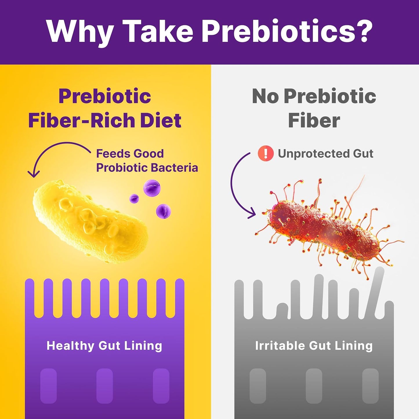 InnovixLabs Prebiotic Fiber Powder for Digestive & Gut Health, High Fiber Supplement for Women & Men, Made with Chicory Root, Acacia Fiber, Inulin & Soluble Fibers, Sugar-Free, Vegan, 30-Day Supply - PrimeBioHealth - canada supplements