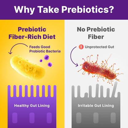 InnovixLabs Prebiotic Fiber Powder for Digestive & Gut Health, High Fiber Supplement for Women & Men, Made with Chicory Root, Acacia Fiber, Inulin & Soluble Fibers, Sugar-Free, Vegan, 30-Day Supply - PrimeBioHealth - canada supplements
