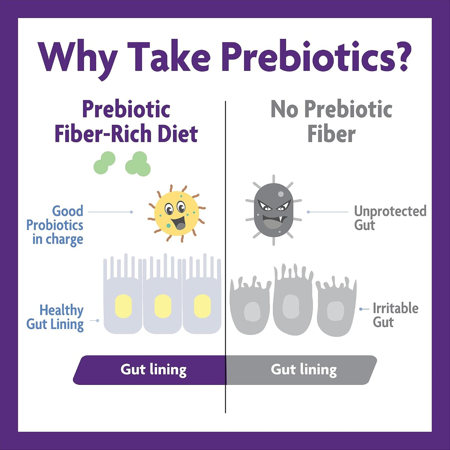 InnovixLabs Probiotic & Prebiotic Bundle Multi-Strain Probiotic (60 Time-Release Capsules) Prebiotic Fiber Powder (30-Day Supply). Boost Probiotic Growth for Gut and Immune Health.* - PrimeBioHealth - canada supplements