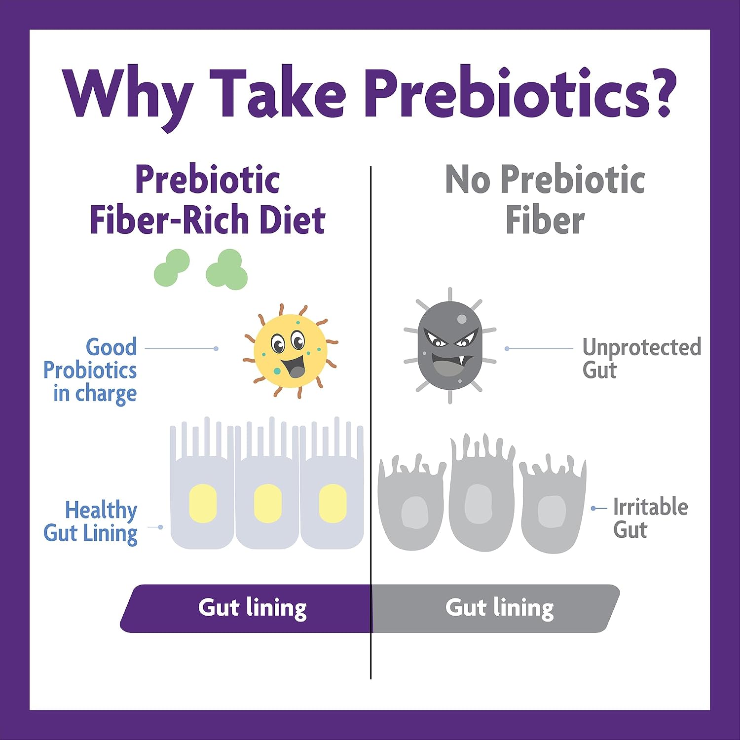 InnovixLabs Probiotic & Prebiotic Bundle Multi-Strain Probiotic (60 Time-Release Capsules) Prebiotic Fiber Powder (30-Day Supply). Boost Probiotic Growth for Gut and Immune Health.* - PrimeBioHealth - canada supplements