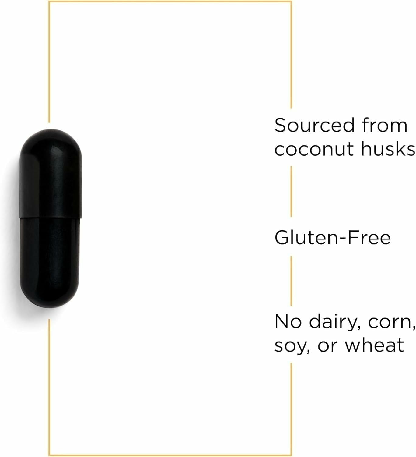 Integrative Therapeutics Activated Charcoal - Digestive & Gut Health Supplement - Effective Gastrointestinal Support - Gluten-Free & Dairy-Free - PrimeBioHealth - canada supplements