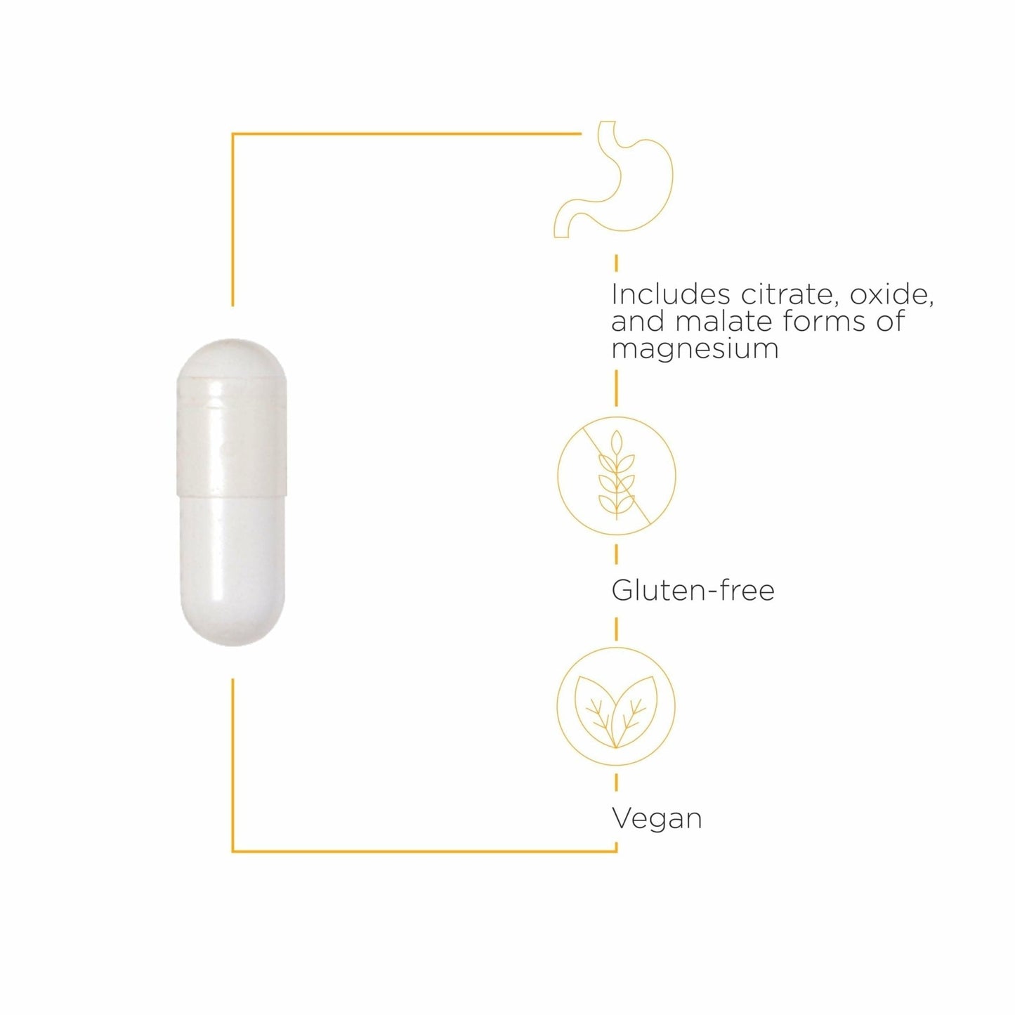 Integrative Therapeutics Tri-Magnesium - Supports Cellular Energy & Energy Metabolism - Magnesium Supplement for Heart & Nerve Health Support - PrimeBioHealth - canada supplements