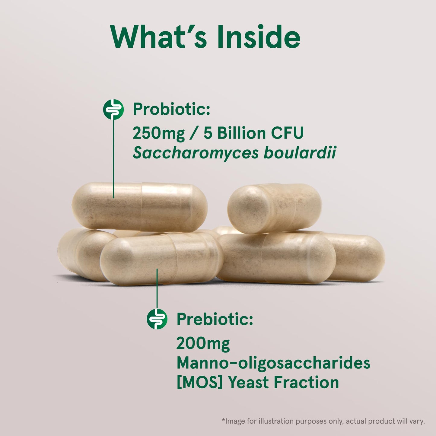 Jarrow Formulas Saccharomyces Boulardii + MOS Probiotics for Digestive Health and Intestinal Tract Support - 5 Billion CFU Per Serving - 90 Delayed Release Caps - PrimeBioHealth - canada supplements