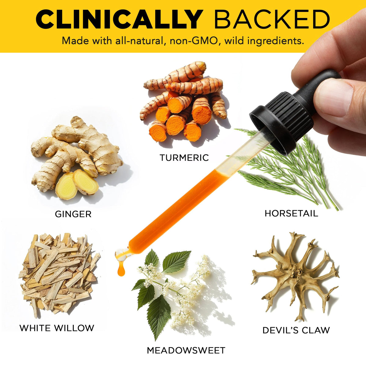 Juicy Joint by Plants Basically – Joint Support Supplement for Mobility, Relief & Recovery | - PrimeBioHealth - canada supplements