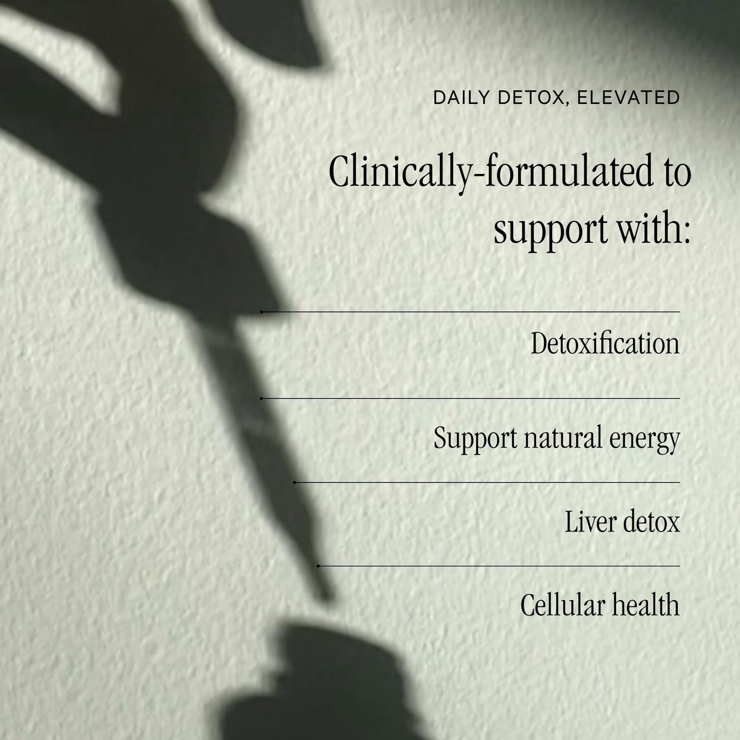 Juna Detox Chlorophyll Drops — Daily Wellness & Detox Support | Lemon Mint Spa Water Taste | Supports Cellular Health, Cleanse - PrimeBioHealth - canada supplements