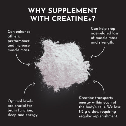 JUST INGREDIENTS Creatine Monohydrate Powder with Rejen Fulvic Mineral Complex - Supports Muscle Recovery, Energy, Strength, Cognitive Function - 30 Servings - PrimeBioHealth - canada supplements
