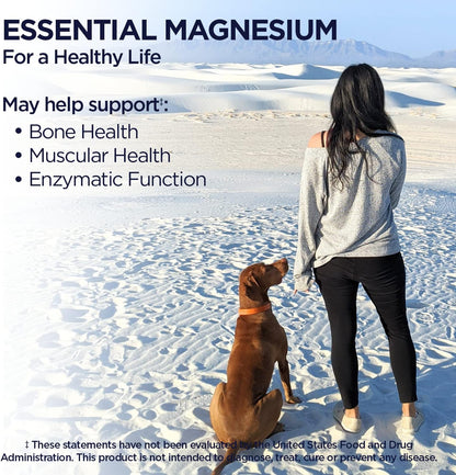 KAL Magnesium Glycinate Tablets, Fully Chelated, High Absorption Formula with Magnesium Bisglycinate Chelate for Nerve, Muscle & Bone Health Support, Vegan, Gluten Free, Value Size, 240 Tablets - PrimeBioHealth - canada supplements