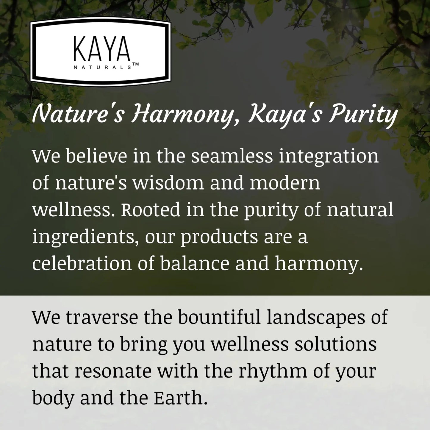 Kaya Naturals Women's Multivitamin, Overall Healthy Antioxidant, and Immune Support, Vitamins A, D, C, E, Biotin - PrimeBioHealth - canada supplements