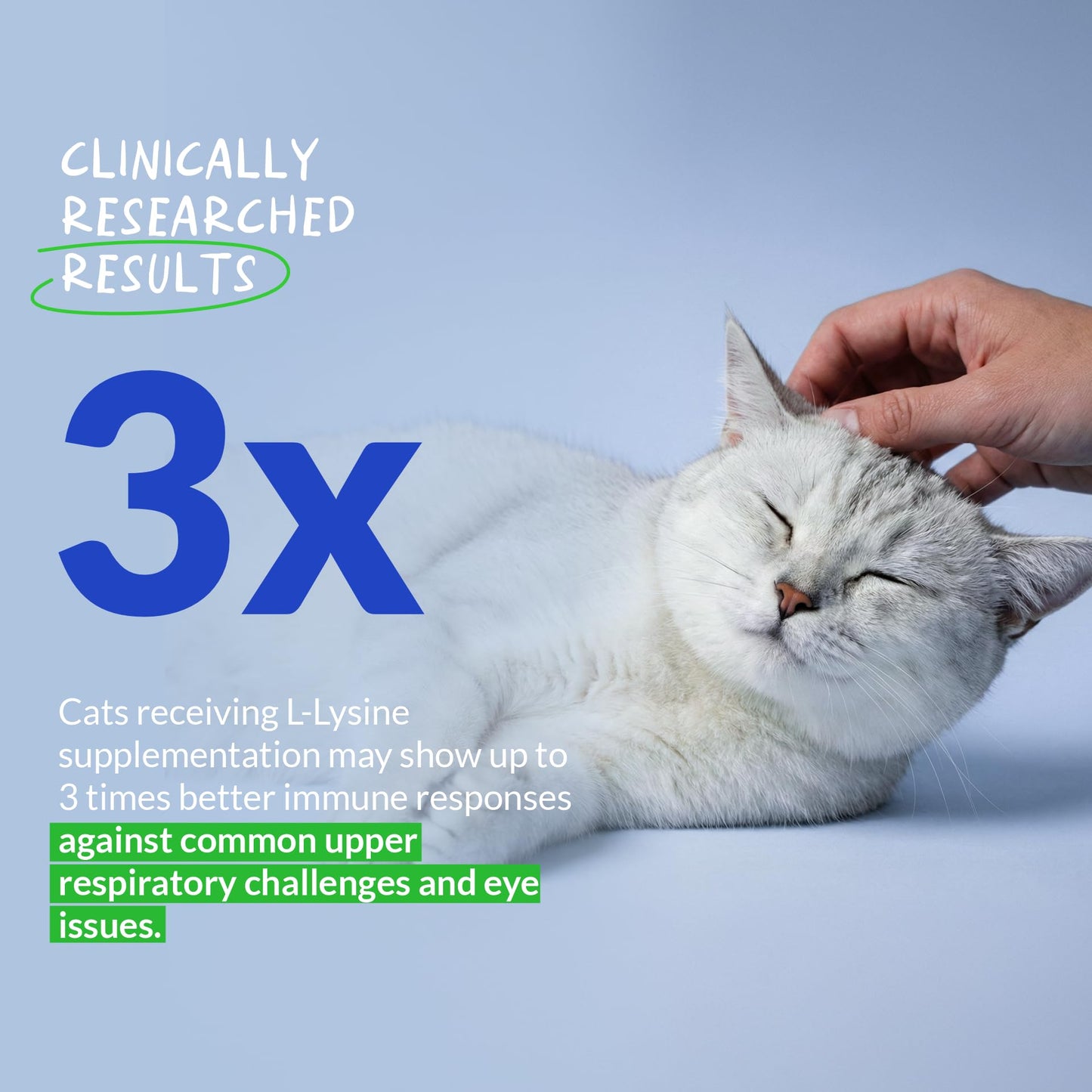 L-Lysine Supplement for Cats 900mg/scoop - Cat Supplement for Sneezing and Runny Nose, Cold, Immune Support, Eye Function - PrimeBioHealth - canada supplements