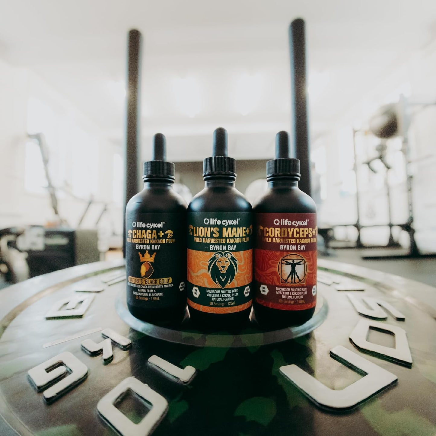 Life Cykel This is It Pack - Chaga, Lion's Mane & Cordyceps Mushroom Extract - Full-Spectrum Mushroom Tincture for Energy, Mental Clarity & Immune Support - Vegan, Non-GMO- 2Fl/Oz Per Bottle - PrimeBioHealth - canada supplements