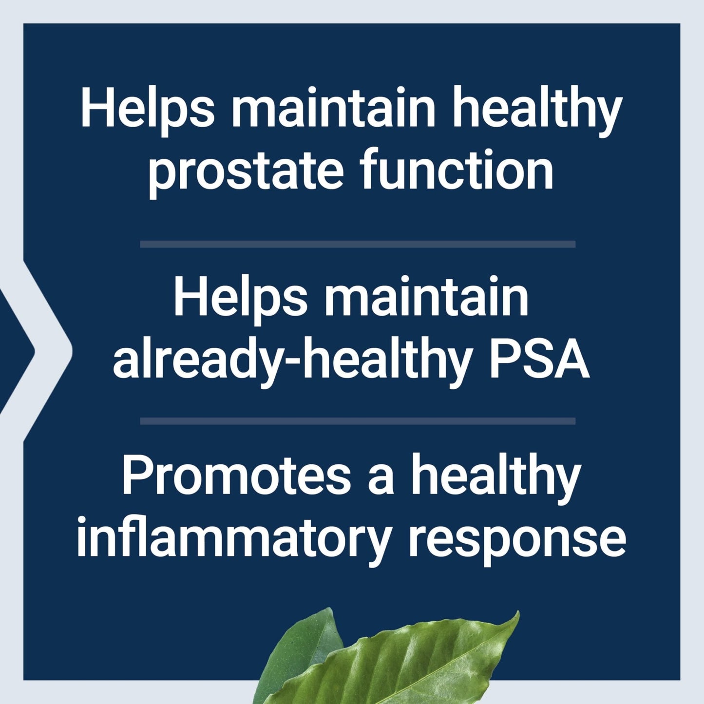 Life Extension Ultra Prostate Formula, Saw Palmetto for Men, pygeum, stinging Nettle Root, lycopene, Prostate Health, Urination Flow - PrimeBioHealth - canada supplements