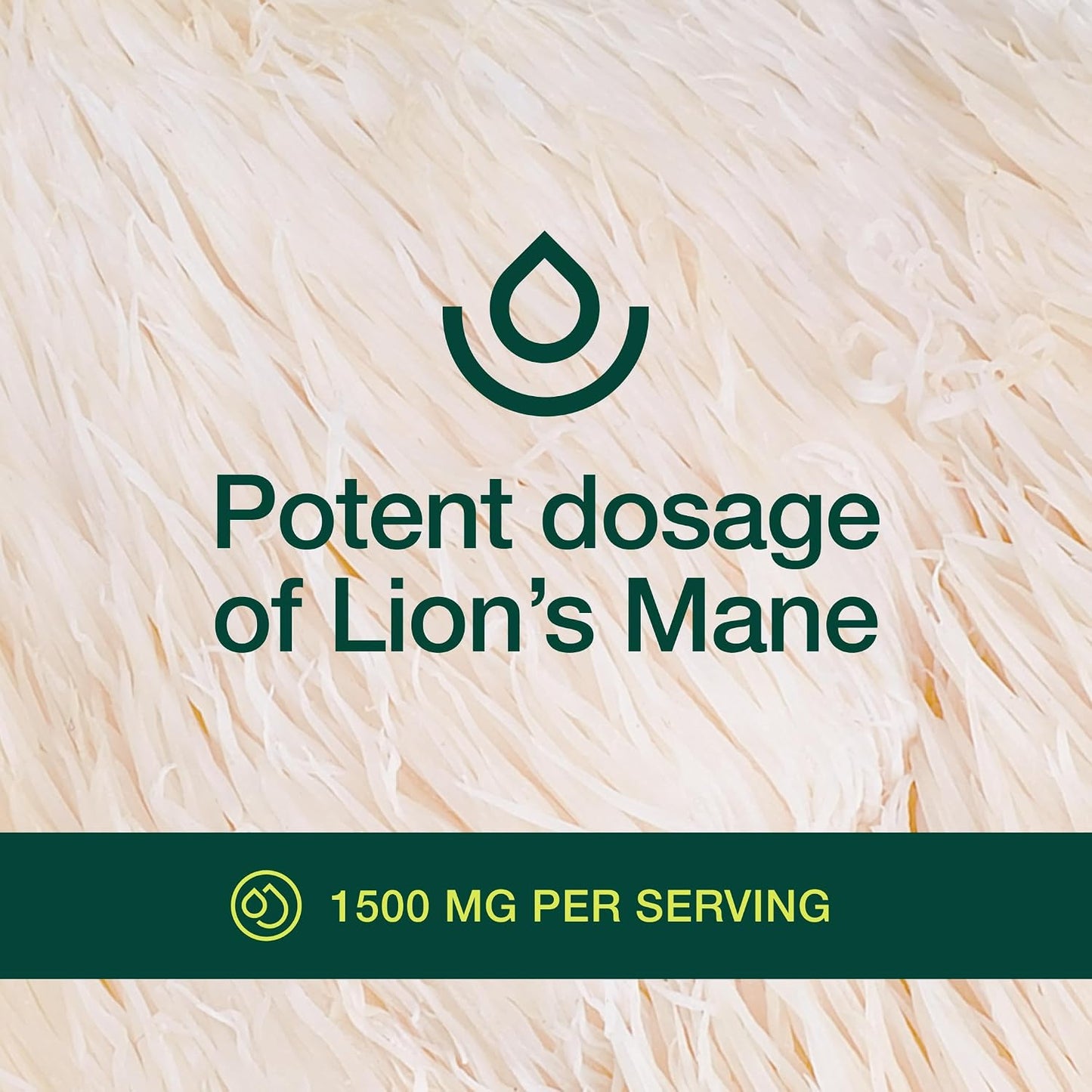 Lions Mane Mushroom Capsules Strongest 1500mg at Special Launch Price - Organic Powder Vegan Friendly Supplement - Brain, Nerve & Immune System Function Benefits - Powerful Superfood - Non GMO - PrimeBioHealth - canada supplements