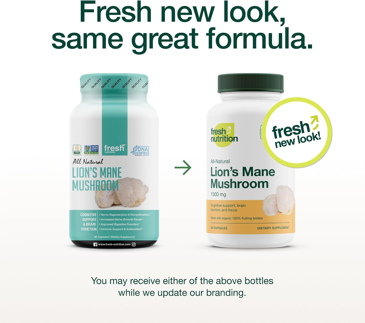 Lions Mane Mushroom Capsules Strongest 1500mg at Special Launch Price - Organic Powder Vegan Friendly Supplement - Brain, Nerve & Immune System Function Benefits - Powerful Superfood - Non GMO - PrimeBioHealth - canada supplements