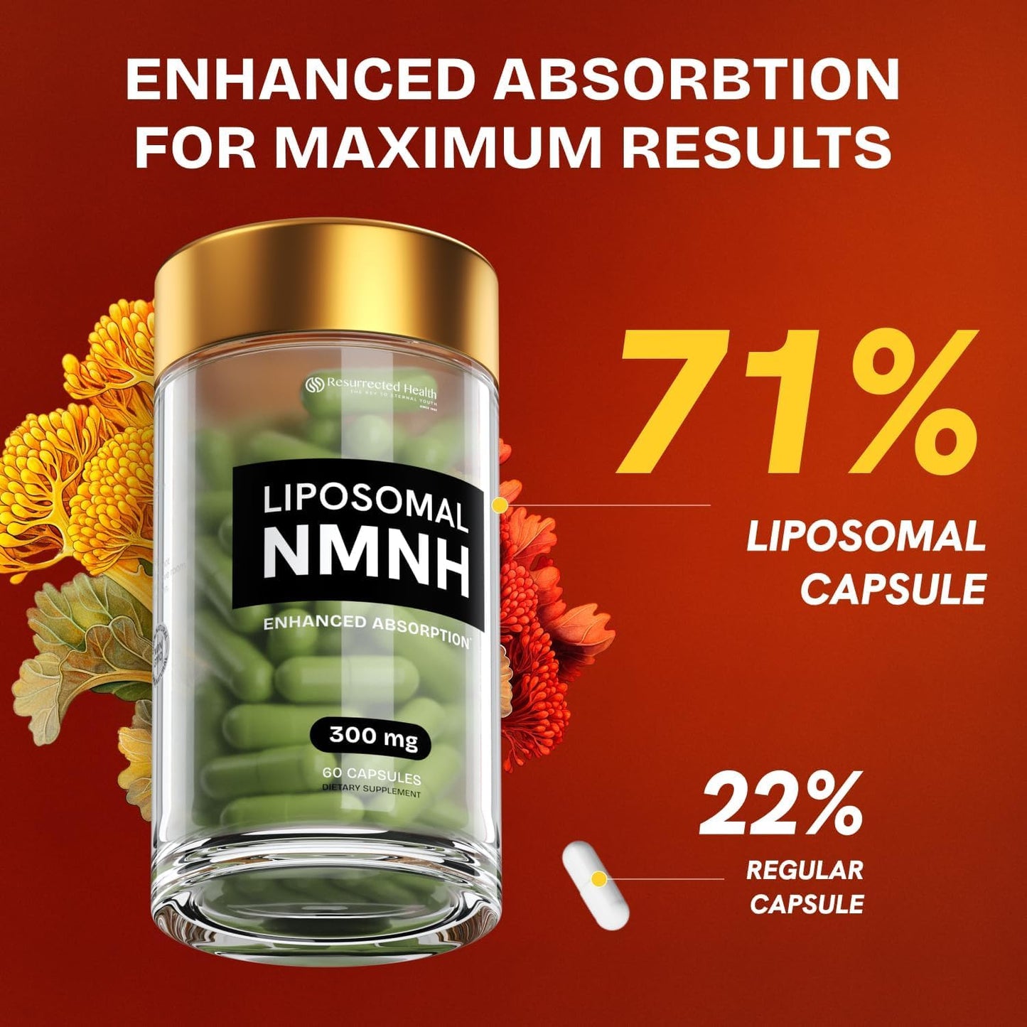 Liposomal NMNH Supplement 300mg – Boosts NAD Anti-Aging, Energy & Focus – NMM Capsules Alternative to for Cellular Vitality – Third-Party Tested, 60 Vegan Capsules | 1 Pack - PrimeBioHealth - canada supplements