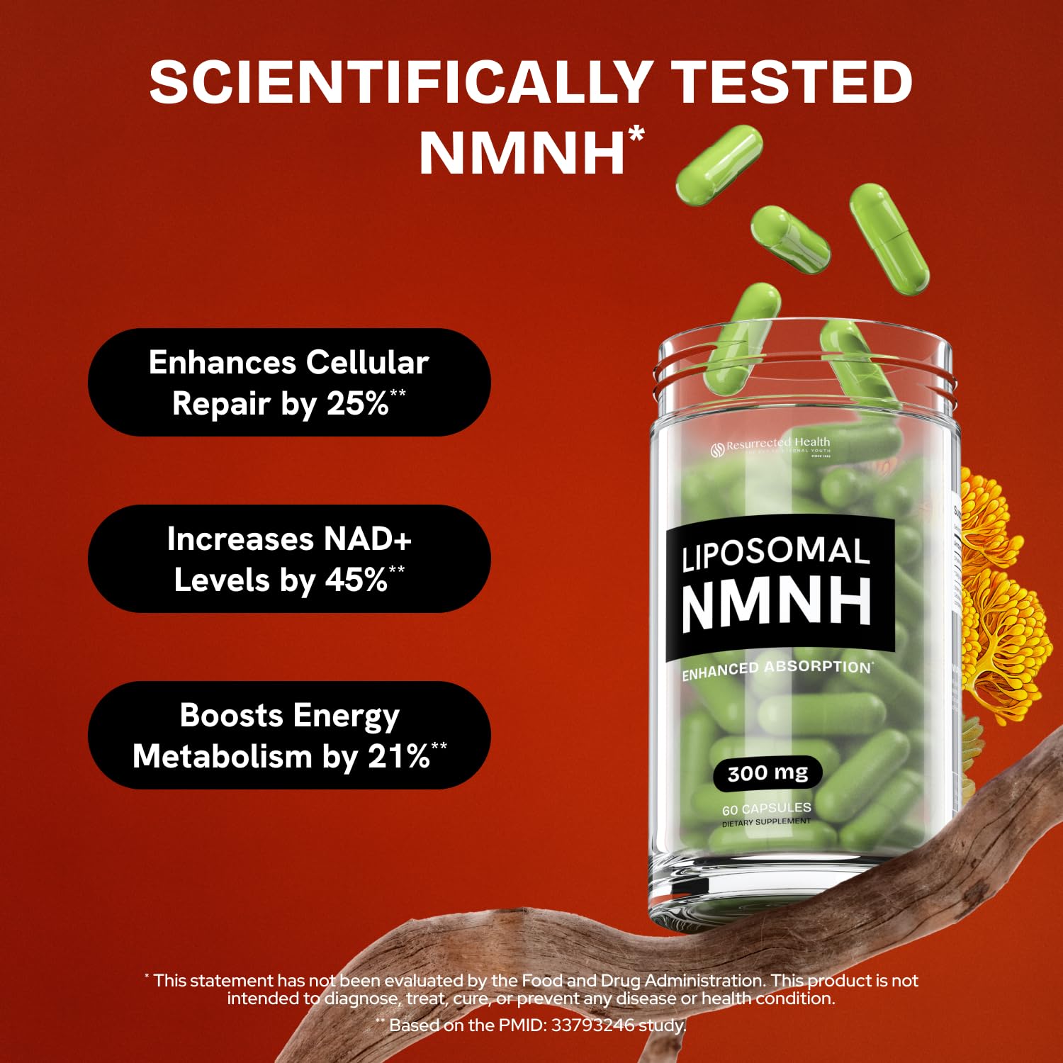 Liposomal NMNH Supplement 300mg – Boosts NAD Anti-Aging, Energy & Focus – NMM Capsules Alternative to for Cellular Vitality – Third-Party Tested, 60 Vegan Capsules | 1 Pack - PrimeBioHealth - canada supplements