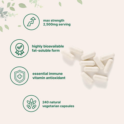 Liposomal Vitamin C 2,500mg, 240 Veggie Capsules | Highly Bioavailable Fat Soluble Form | Immune Support & Antioxidant Supplement | Liposomal Delivery for Superior Absorption | Non-GMO, Gluten Free - PrimeBioHealth - canada supplements