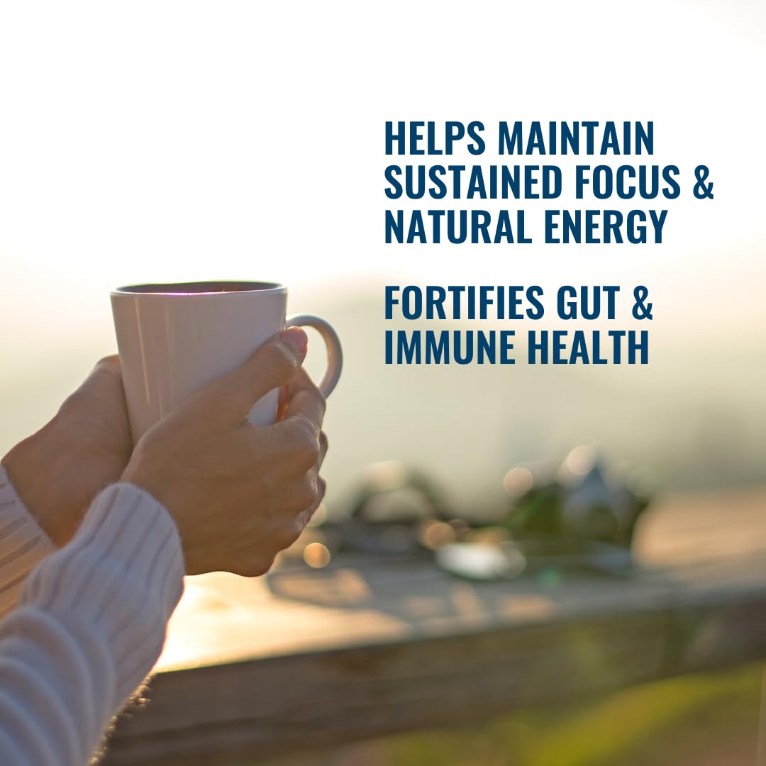 Live Conscious Beyond Brew - Coffee Alternative - Low Caffeine - Mushroom Complex w/Lion’s Mane, Reishi, Cordyceps & Chaga for Sustained Focus, Energy & Immunity - w/Prebiotics & Probiotics - 30 - PrimeBioHealth - canada supplements