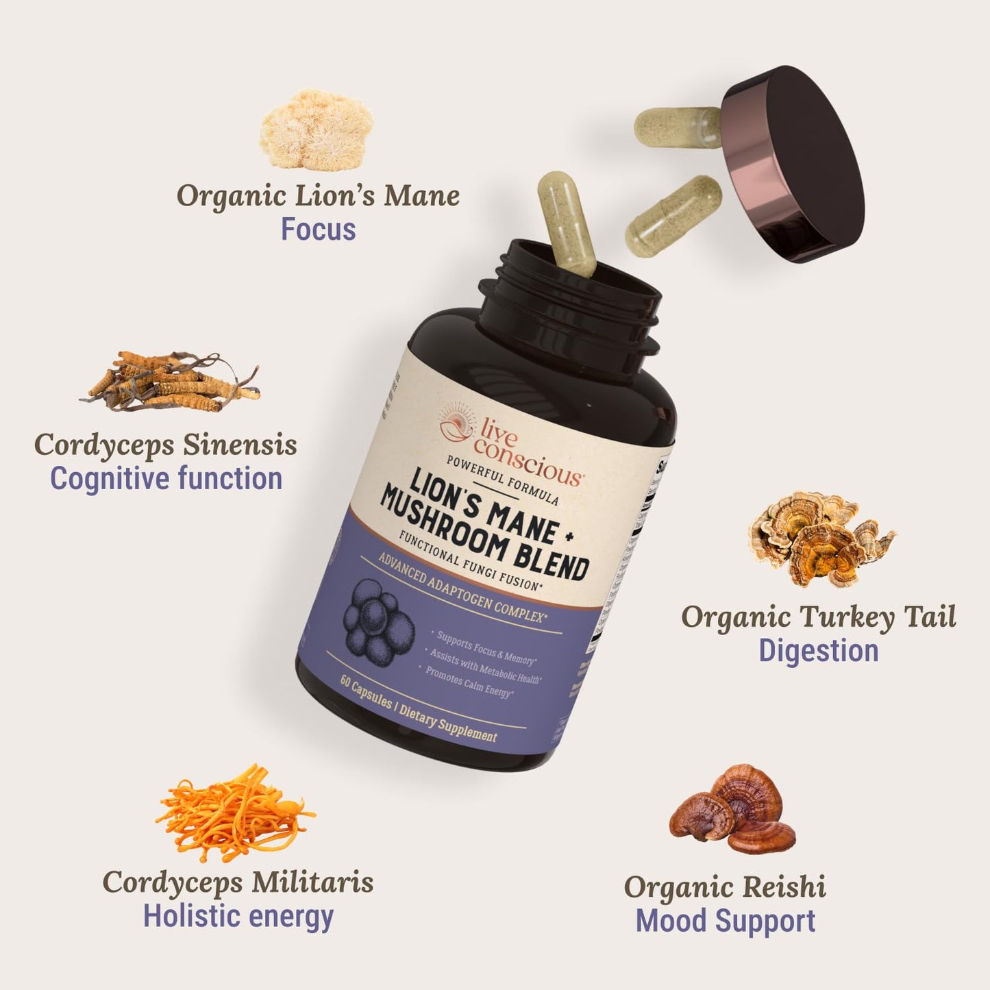 Live Conscious Lions Mane Mushroom Supplement Capsules for Brain Support w/Lion's Mane, Cordyceps, Reishi, and Turkey Tail Mushrooms - Cognitive Memory Supplement for Brain - PrimeBioHealth - canada supplements
