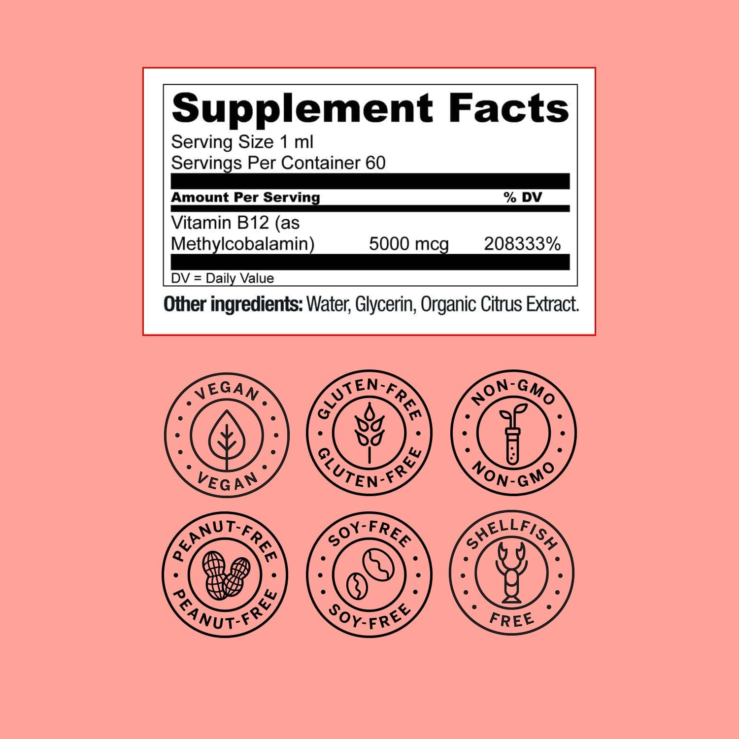 Live Conscious Vegan Vitamin B12 Sublingual Liquid Drops | Methylcobalamin Max Strength B12 5000mcg Formula | Vegan B 12 Vitamin Support Energy | Promote Memory & Aid Immune System | 60 Serving - PrimeBioHealth - canada supplements