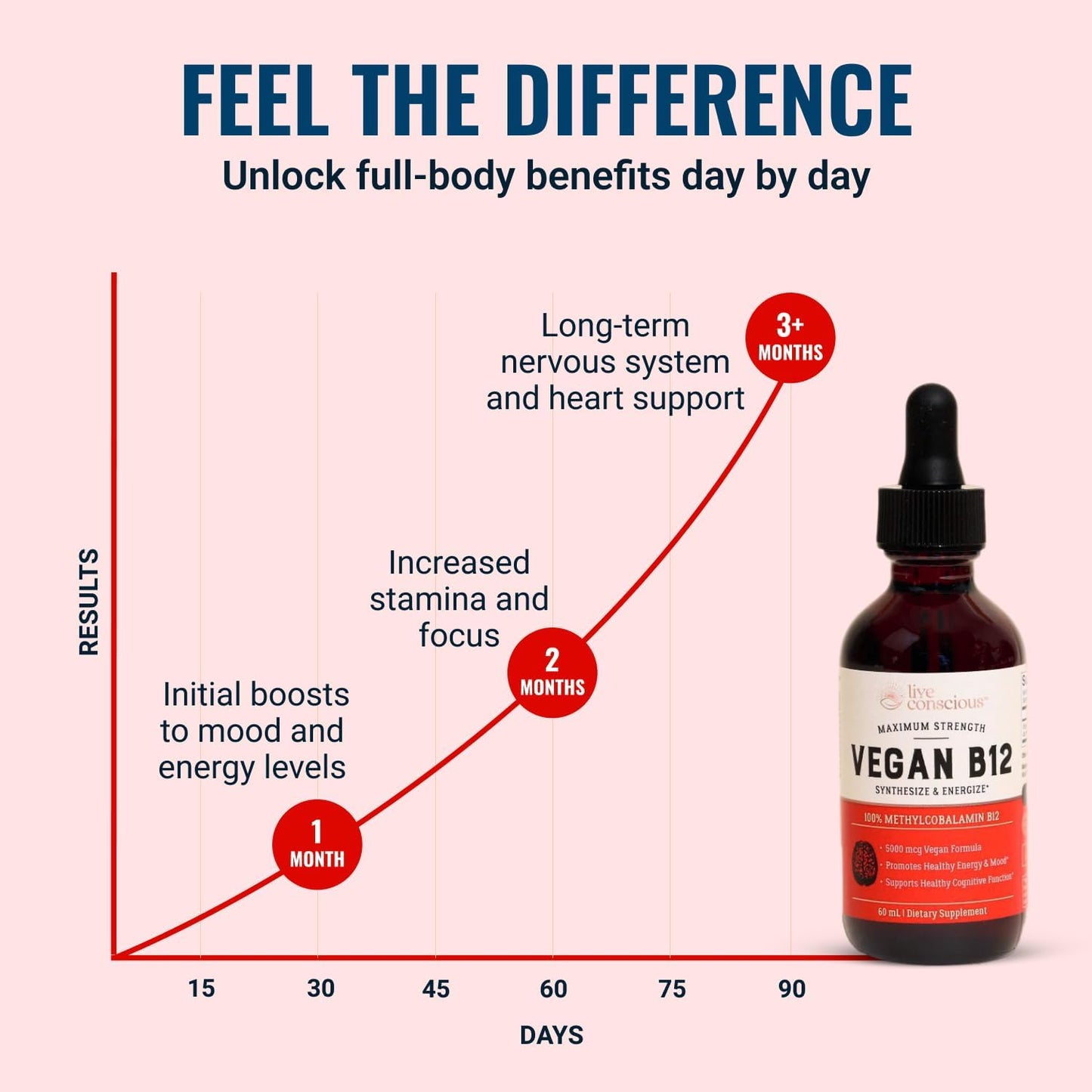 Live Conscious Vegan Vitamin B12 Sublingual Liquid Drops | Methylcobalamin Max Strength B12 5000mcg Formula | Vegan B 12 Vitamin Support Energy | Promote Memory & Aid Immune System | 60 Serving - PrimeBioHealth - canada supplements