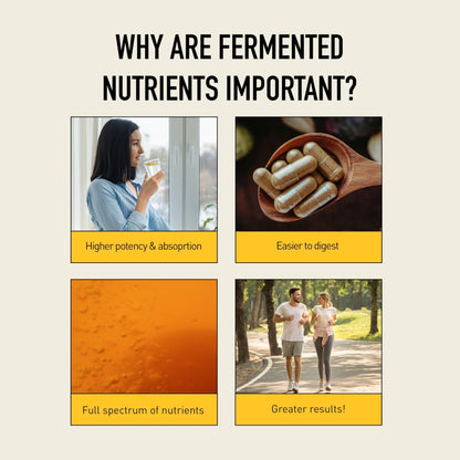 Living Alchemy Gut Health Supplements for Women - Your Flora Probiotics Women with Fermented Soybean, Cranberry Juice, Roselle, Prebiotics, Digestive Enzyme, & Probiotics - Vegan, Non-GMO, 60 Pcs - PrimeBioHealth - canada supplements