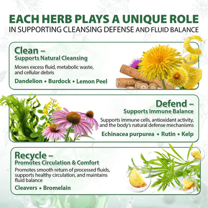 Lymphatic Drainage Capsules Natural Herbal Supplement for Immune Health & Fluid Balance, with Echinacea, Dandelion, and Burdock 60 Capsules - PrimeBioHealth - canada supplements