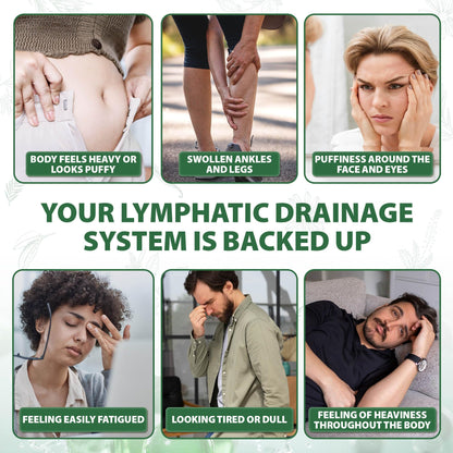 Lymphatic Drainage Capsules Natural Herbal Supplement for Immune Health & Fluid Balance, with Echinacea, Dandelion, and Burdock 60 Capsules - PrimeBioHealth - canada supplements