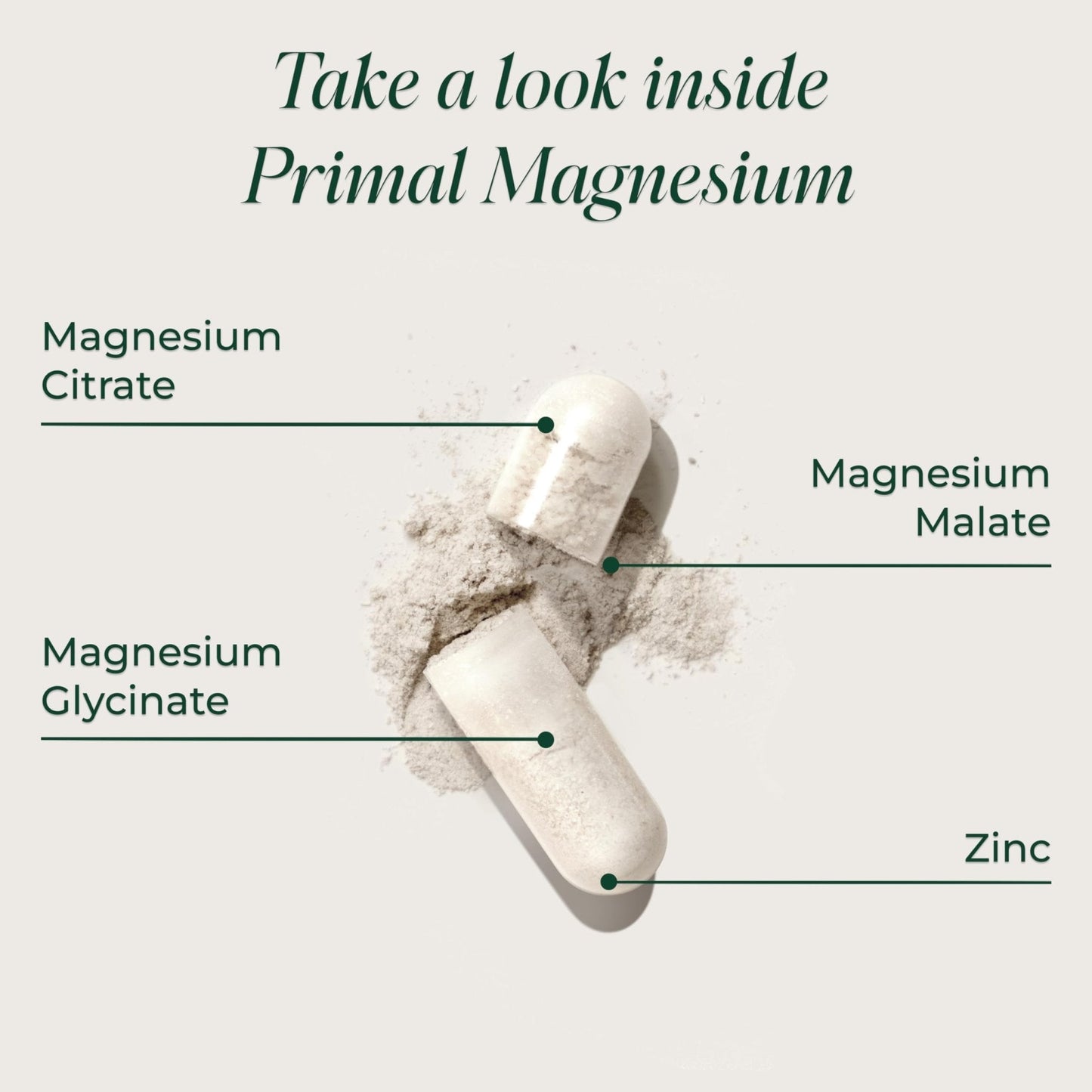Magnesium Supplement Complex 310mg by Primal Harvest with Magnesium Glycinate, Citrate, Malate, and Zinc 120 Capsules - PrimeBioHealth - canada supplements