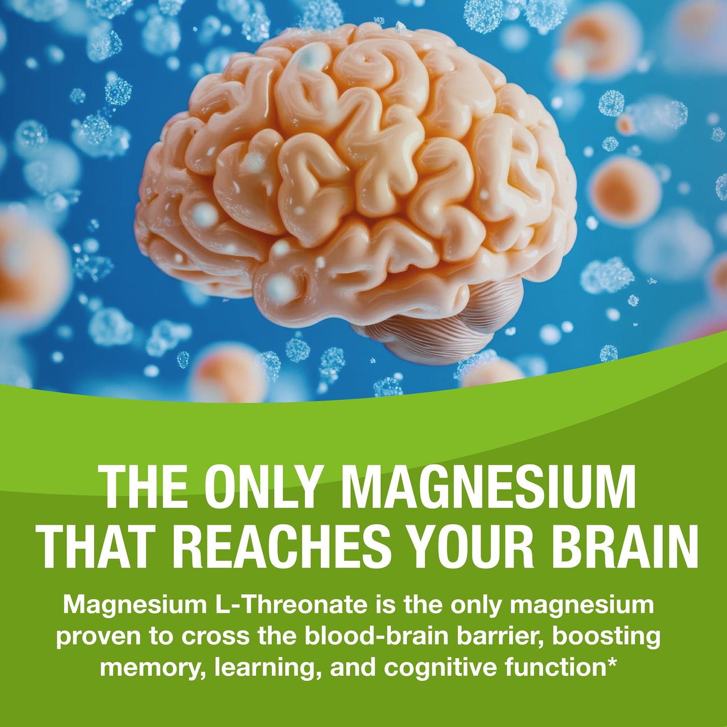 Magtein - Magnesium L-Threonate Supplement, Memory, Focus, Sleep & Brain Health Formula for Men & Women, Cognitive Support for Adults - PrimeBioHealth - canada supplements