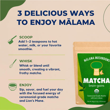 Malama Ceremonial Grade Matcha Powder - Premium Japanese Matcha Green Tea Powder with Organic Lion’s Mane Extract - Organic, Gluten-Free, Vegan, & Unsweetened (2.1 oz) for Energy & Focus - PrimeBioHealth - canada supplements