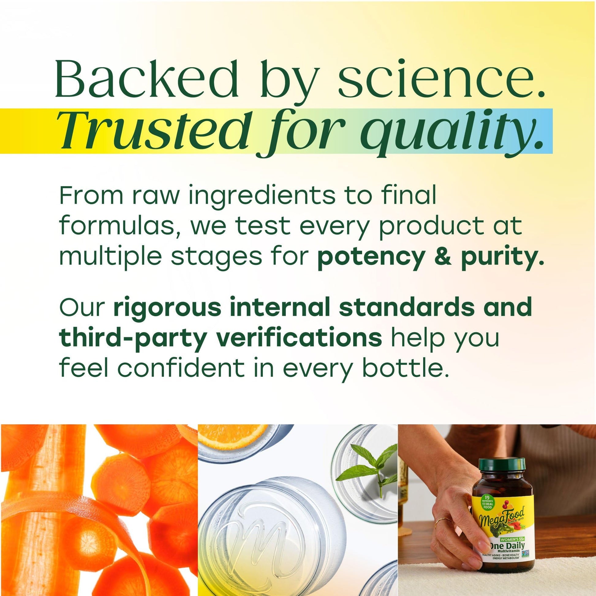 MegaFood Balanced B Complex - Vitamin B Complex for Women & Men - Vitamin B6, B12, Folate, Biotin - Cellular Energy Metabolism - PrimeBioHealth - canada supplements