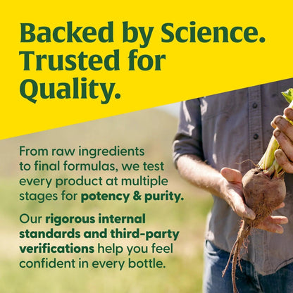 MegaFood One Daily Multivitamin for Women and Men, Immune Support Supplement with Real Food, Vitamin C & Vitamin B, Bone Health - PrimeBioHealth - canada supplements