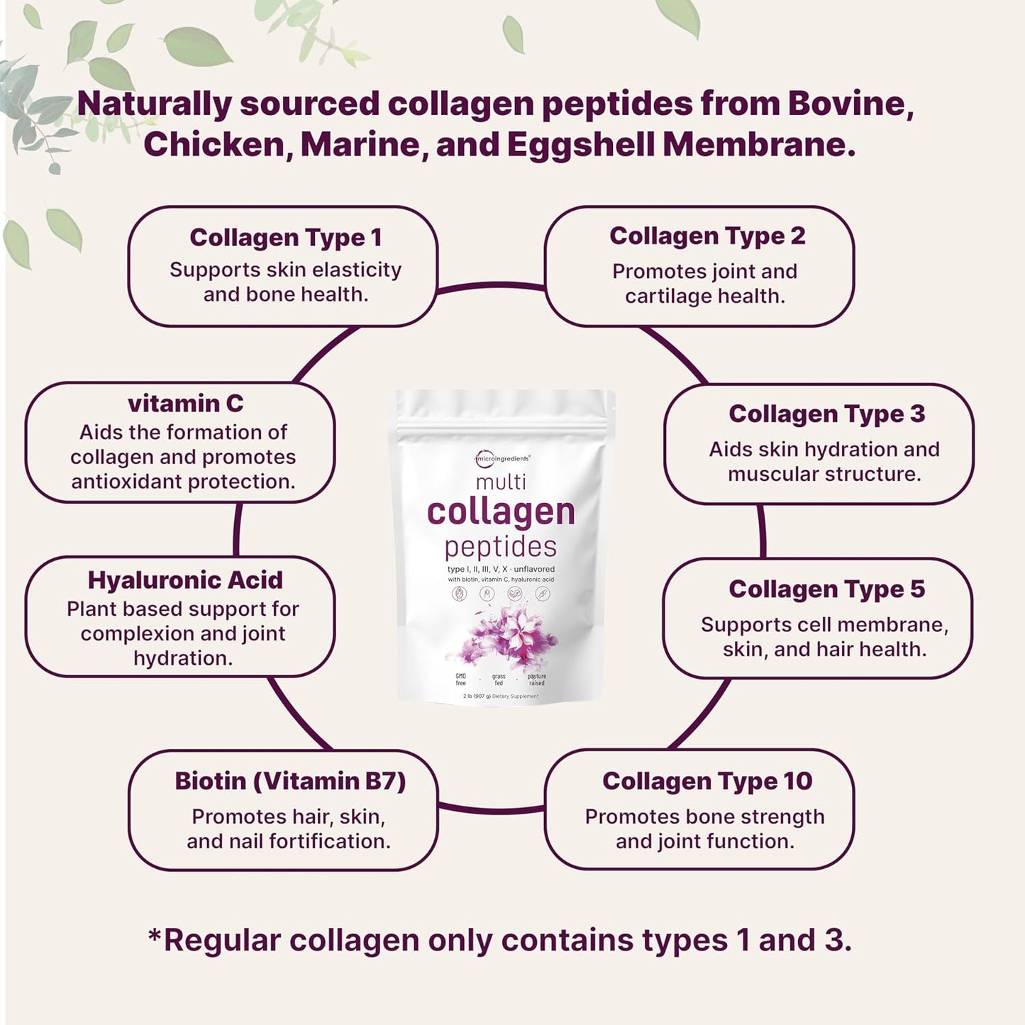 Micro Ingredients 8-in-1 Multi Collagen Powder & Women’s Probiotics 100 Billion CFU Veggie Capsules | 2 Pack | Hydrolyzed Peptides + Hyaluronic Acid & Vitamin C | 40 Strains + Cranberry & D-Mannose - PrimeBioHealth - canada supplements