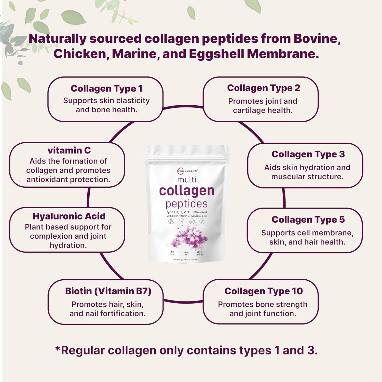 Micro Ingredients 8-in-1 Multi Collagen Powder & Women’s Probiotics 100 Billion CFU Veggie Capsules | 2 Pack | Hydrolyzed Peptides + Hyaluronic Acid & Vitamin C | 40 Strains + Cranberry & D-Mannose - PrimeBioHealth - canada supplements