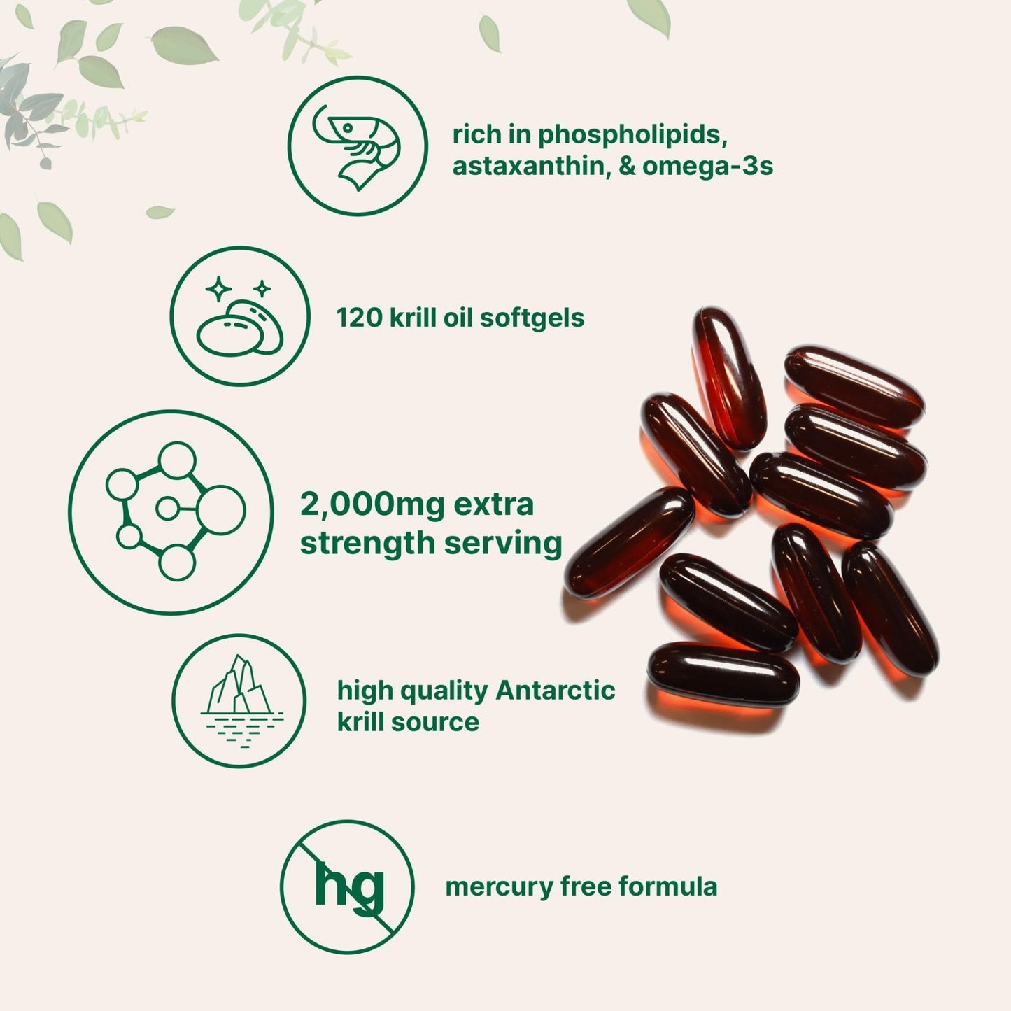 Micro Ingredients Antarctic Krill Oil Supplement 2,000mg Per Serving, 240 Softgels | Omega-3 EPA & DHA with Phospholipids & Natural Astaxanthin | No Fishy Aftertaste | Non-GMO, Gluten Free - PrimeBioHealth - canada supplements