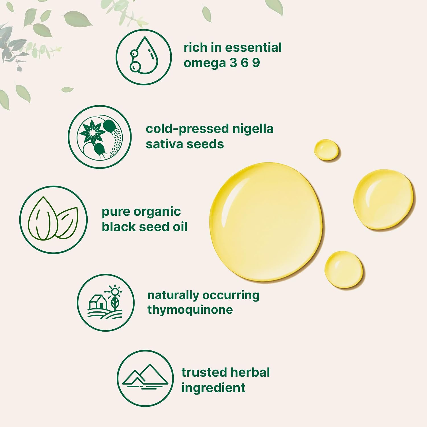 Micro Ingredients Black Seed Oil Organic Cold Pressed, 16 fl oz | Rich in Thymoquinone & Omega 3 6 9 | Unrefined from Nigella Sativa Seeds | Immune, Hair & Skin Support* | Non-GMO - 3 Months Supply - PrimeBioHealth - canada supplements