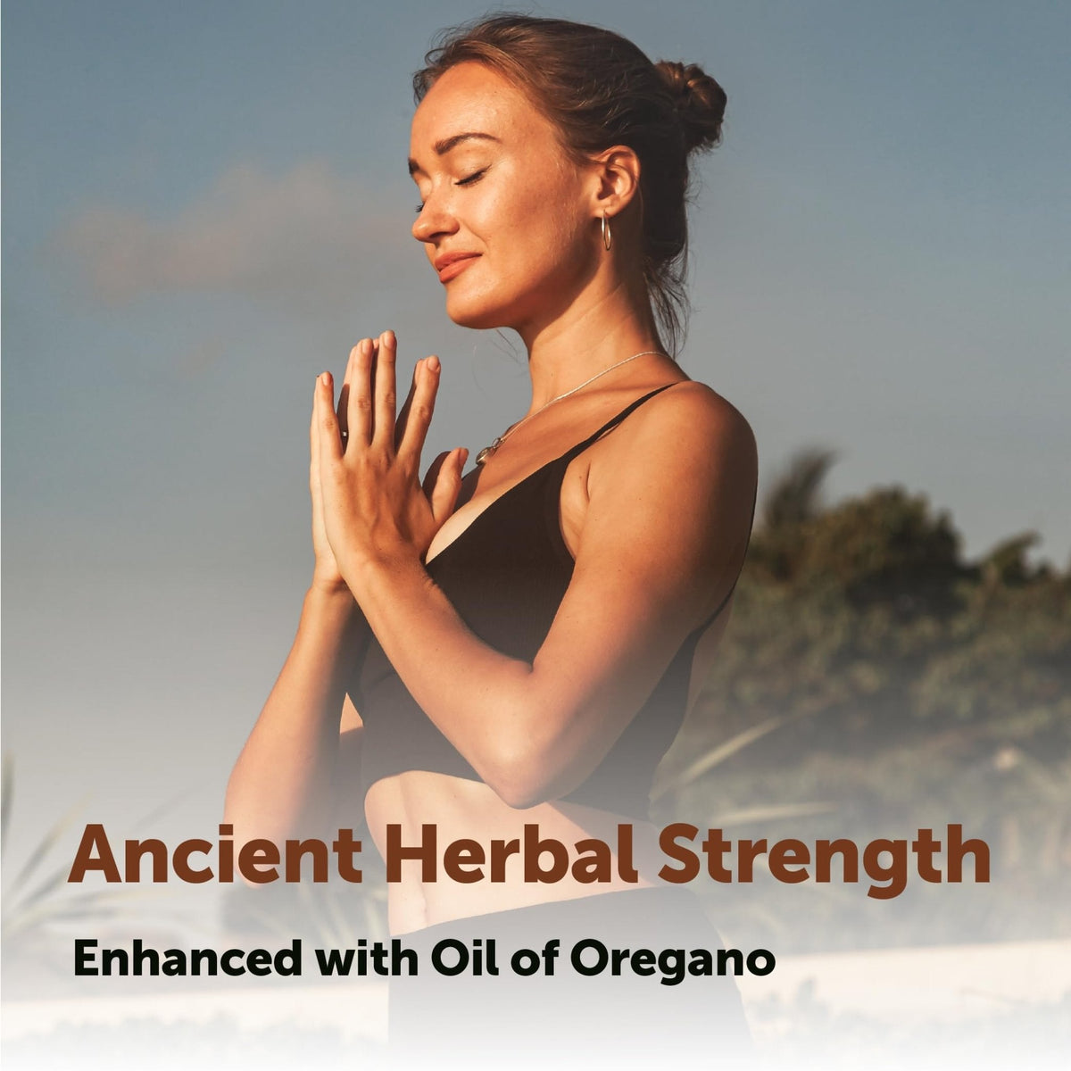 Micro Ingredients Black Seed Oil Softgels, 3,000mg, 240 Count | 2-in-1 Formula with Oil of Oregano, Carvacrol & Thymoquinone | Plant Based, Non-GMO - PrimeBioHealth - canada supplements