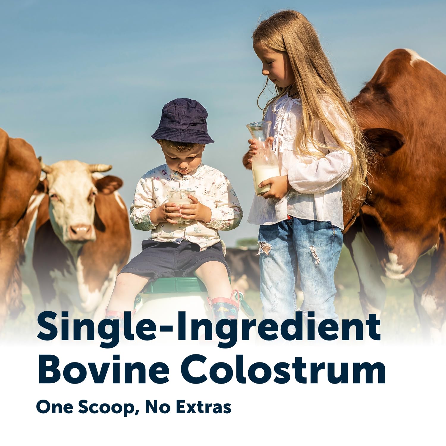 Micro Ingredients Bovine Colostrum Powder, 8 oz | Colostrum Supplement for Women & Men | Unflavored & Instant Dissolve | Non-GMO, Gluten-Free - PrimeBioHealth - canada supplements