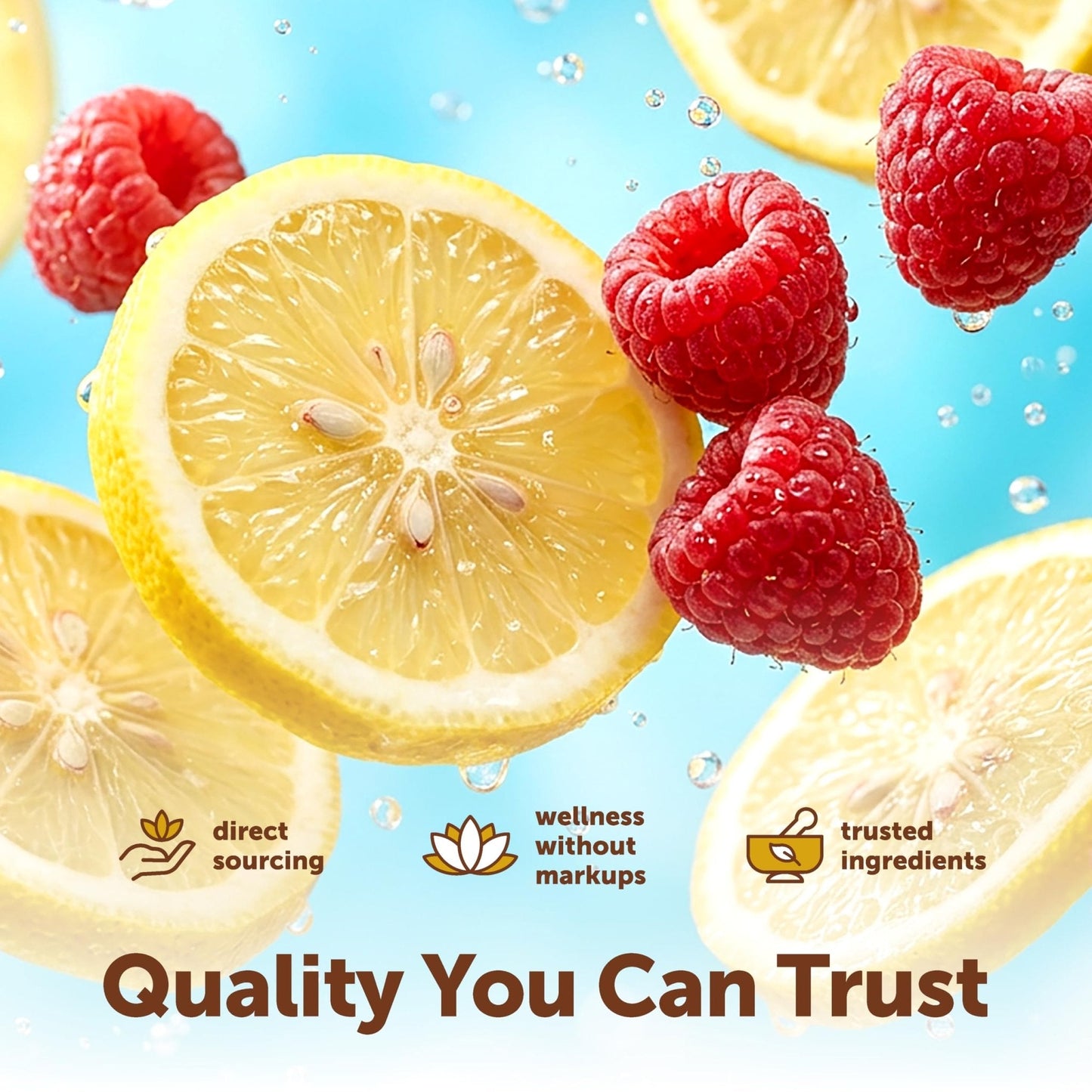 Micro Ingredients Electrolyte Powder, 2 lbs (139 Servings) | Lemon Raspberry Flavor | High Potassium (1,000mg) + Coconut Water & Real Lemon Juice - PrimeBioHealth - canada supplements