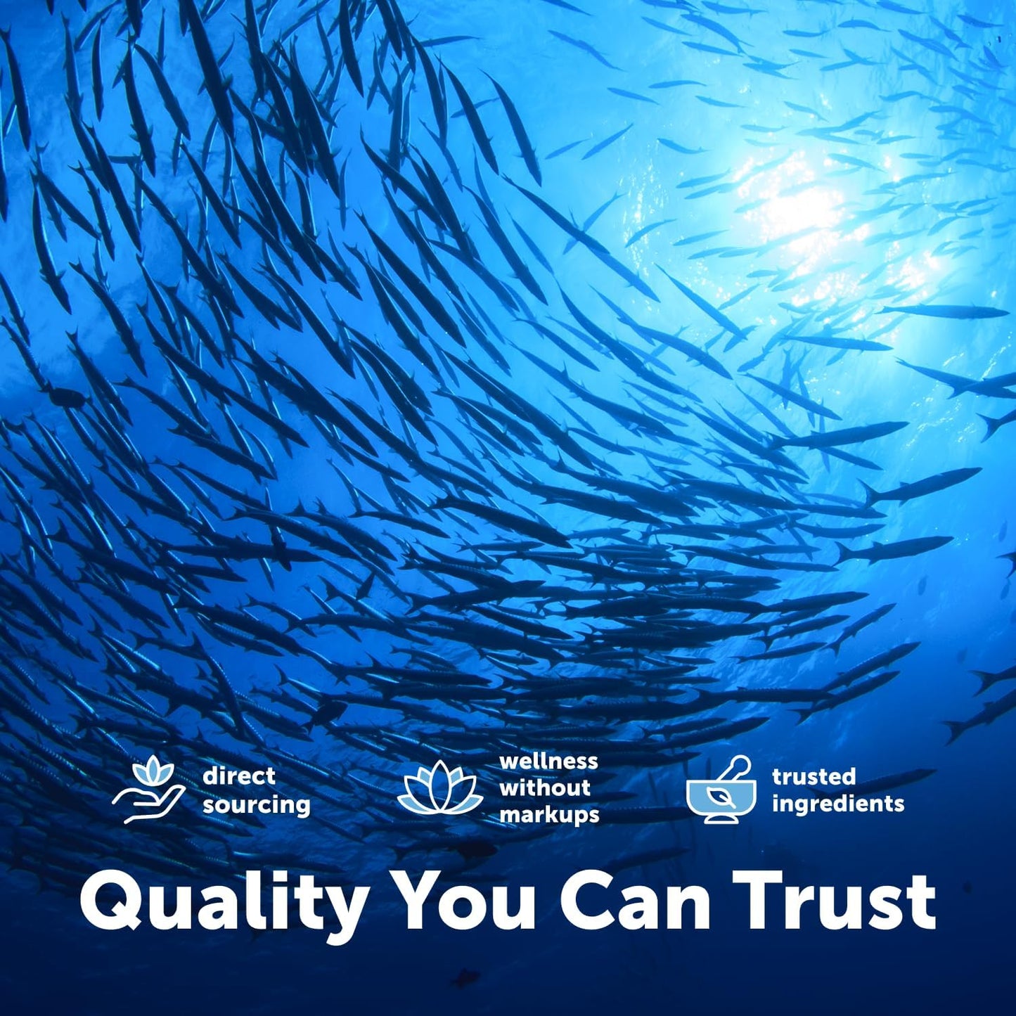 Micro Ingredients Extra Strength* Omega-3 Fish Oil Supplements 1,000mg Per Serving, 300 Softgels | Lemon Flavored | Burpless | EPA 180mg + DHA 120mg | Deep Sea Fish - PrimeBioHealth - canada supplements