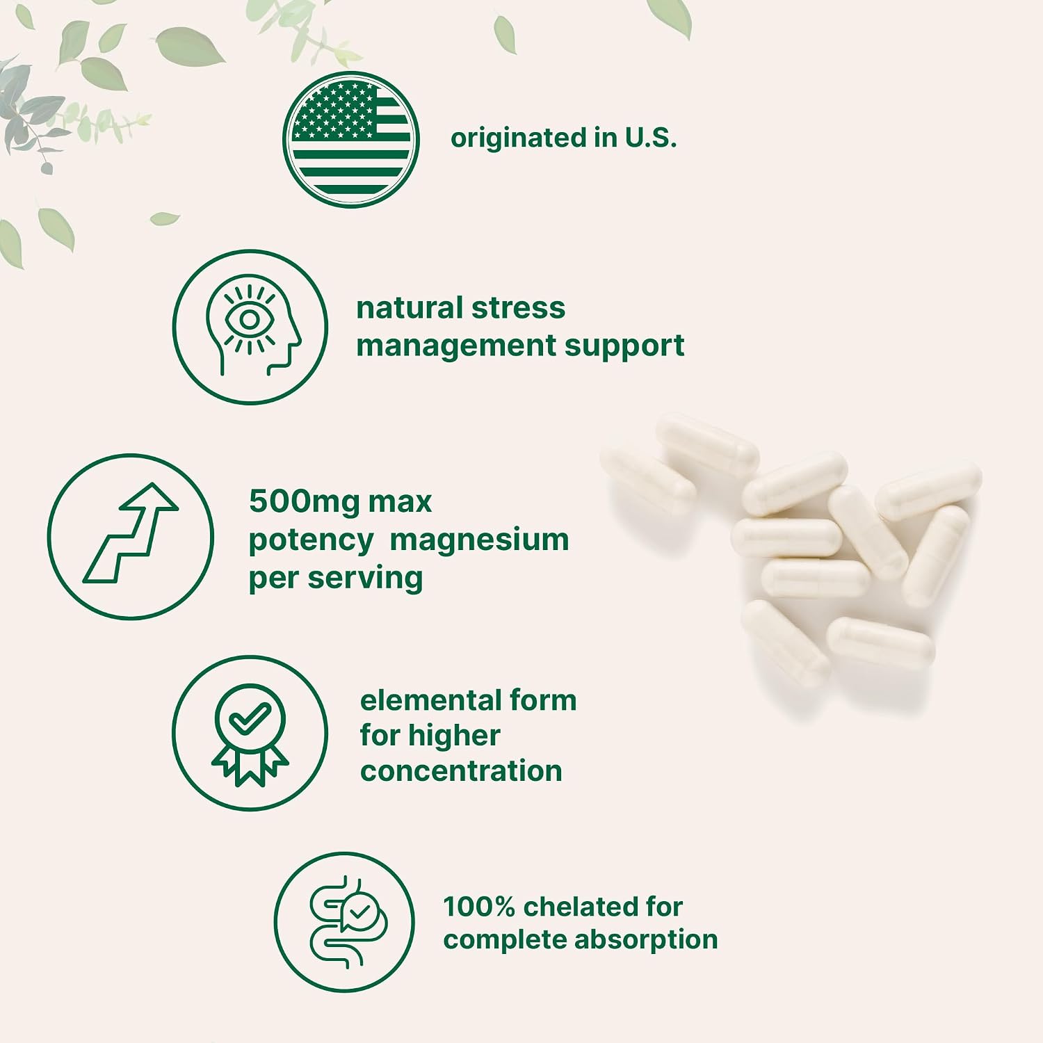 Micro Ingredients Magnesium Glycinate 500mg Per Serving, 240 Capsules | Potent Elemental Form, Chelated, High Absorption | Healthy Muscle, Bones, & Mood Support Supplement | Non-GMO - PrimeBioHealth - canada supplements