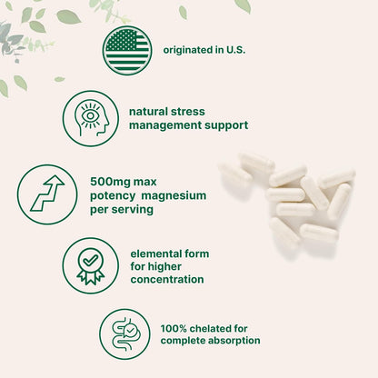 Micro Ingredients Magnesium Glycinate 500mg Per Serving, 240 Capsules | Potent Elemental Form, Chelated, High Absorption | Healthy Muscle, Bones, & Mood Support Supplement | Non-GMO - PrimeBioHealth - canada supplements
