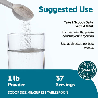 Micro Ingredients Marine Collagen Protein Powder, 1 Pound | Wild Caught Fish Source | Hydrolyzed Peptides | Unflavored, Keto, & Paleo Friendly | Easy to Mix, Non-GMO - PrimeBioHealth - canada supplements