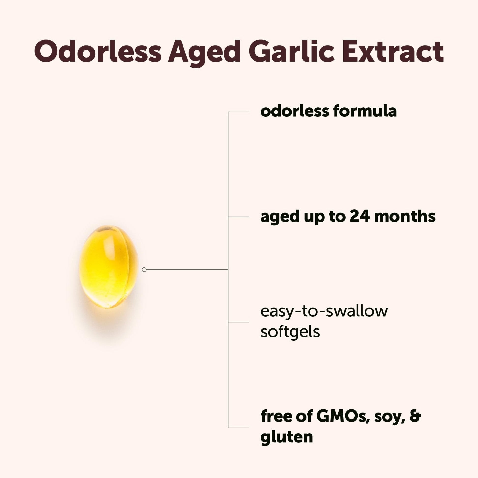 Micro Ingredients Odorless Garlic, 300 Softgels | 2 Years Aged Garlic Extract | Grown Allium Sativum Bulb | Natural Herbal Supplements | Non-GMO, Gluten Free - PrimeBioHealth - canada supplements