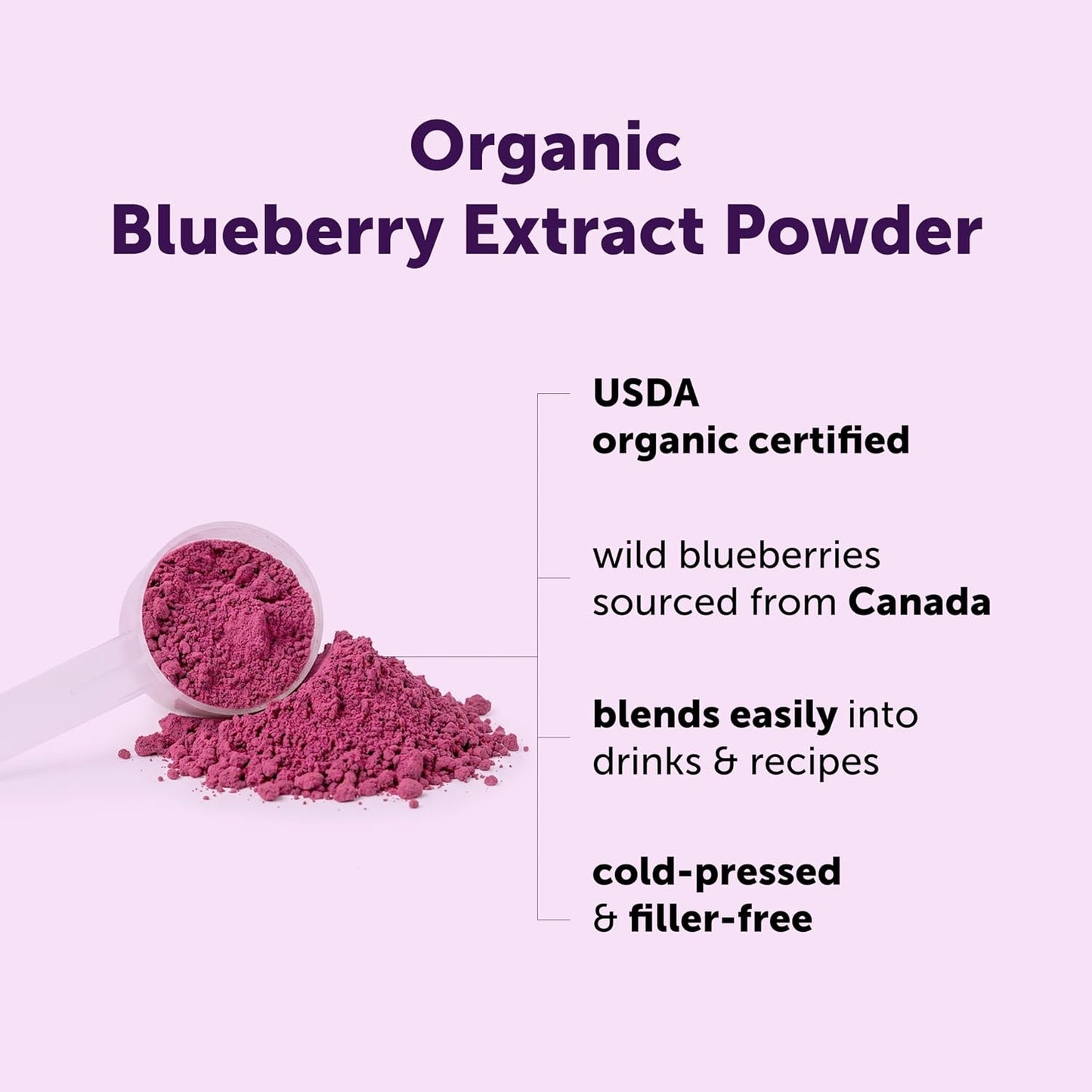 Micro Ingredients Organic Blueberry Extract Powder, 10oz | Natural Fruit Flavor | Freeze-Dried Wild Blueberries Source | No Sugar & Additives | Great for Drinks, Smoothie, & Beverages | Non-GMO & Vegan - PrimeBioHealth - canada supplements