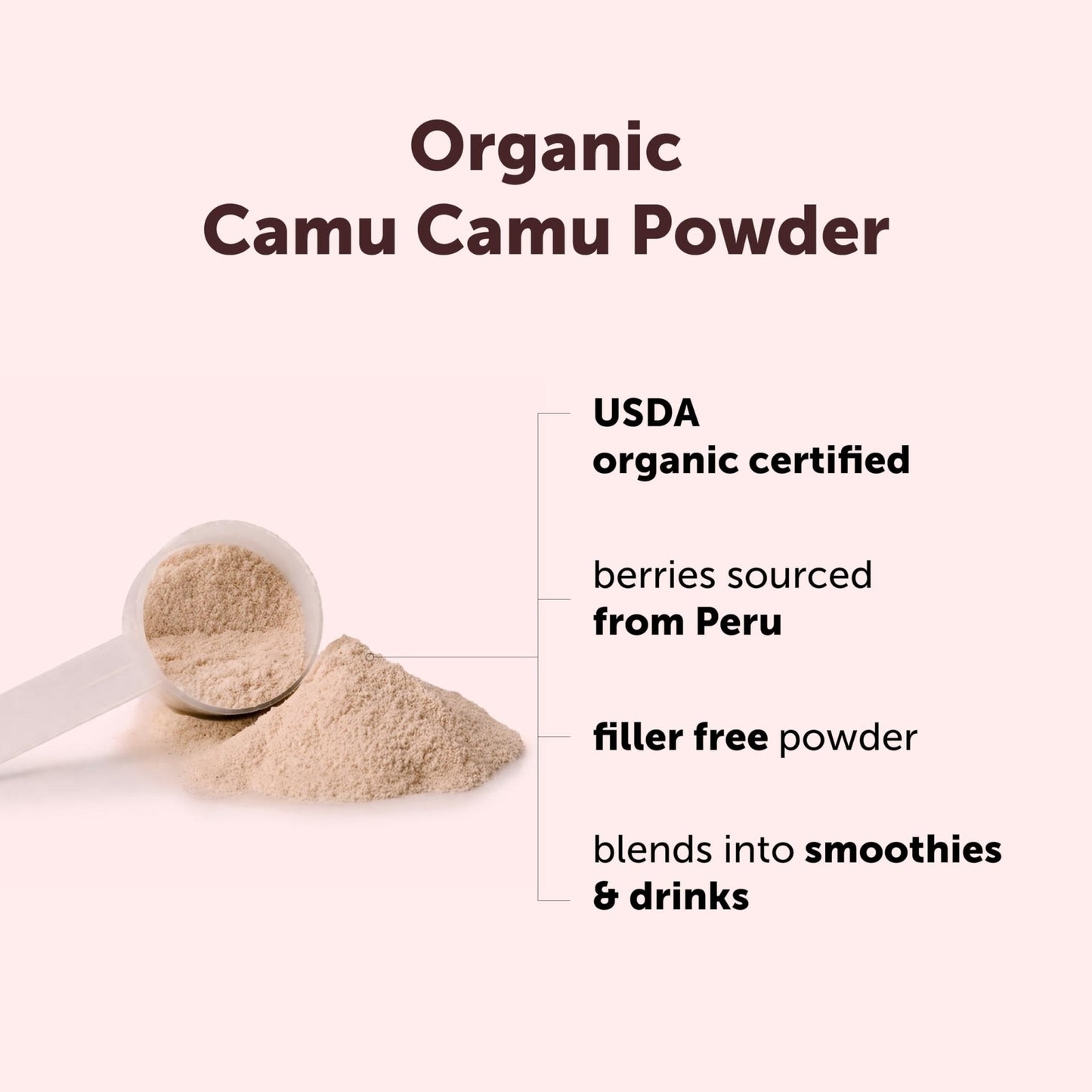 Micro Ingredients Organic Camu Camu Powder, 12 oz | Freshly Harvested Berry | Source of Naturally Occurring Vitamin C | Non-GMO, Vegan Friendly - PrimeBioHealth - canada supplements