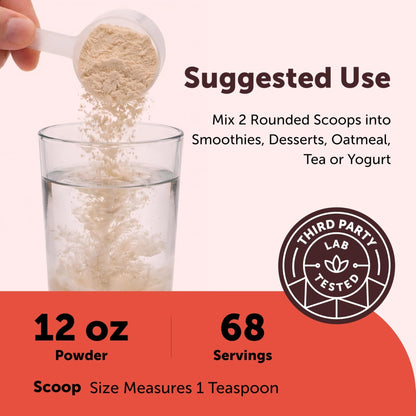 Micro Ingredients Organic Camu Camu Powder, 12 oz | Freshly Harvested Berry | Source of Naturally Occurring Vitamin C | Non-GMO, Vegan Friendly - PrimeBioHealth - canada supplements